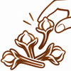 Carefully Selected Whole Buds