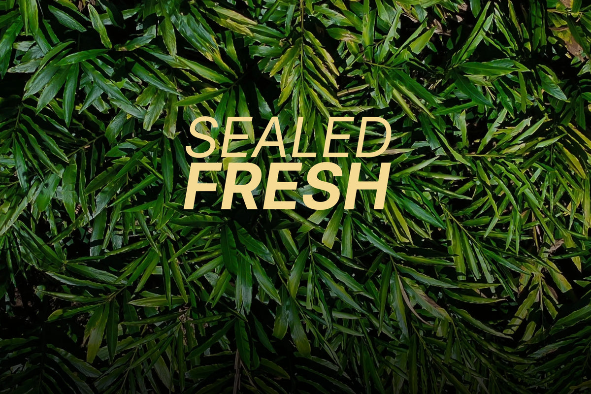 Sealed Fresh 
